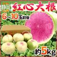 静岡県 ”紅心大根” 6～10玉前後 約5kg 紅芯大根【予約 11月下旬以降】 送料無料
