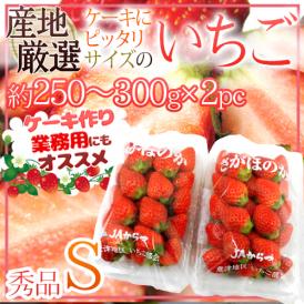 ケーキにピッタリサイズの ”いちご” Sサイズ 約250～300g×《2pc》 産地厳選 ケーキ用/製菓用/業務用 送料無料