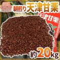 焼きたて・炒りたてを当日発送！ ”天津甘栗” 約20kg バラ《専用袋付き》イベント・お祭り・学園祭・社内行事に♪【予約 10月中旬以降】 送料無料
