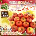 青森県 蜜だらけりんご ”こみつ” 訳あり 大きさおまかせ 約3kg こうとくりんご【予約 12月以降】 送料無料