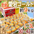 愛媛県 ”愛宕ゴールド” 秀品 L～3L 30～42玉 約9kg 愛宕柿【予約 12月中下旬以降】 送料無料