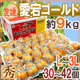 愛媛県 ”愛宕ゴールド” 秀品 L～3L 30～42玉 約9kg 愛宕柿【予約 12月中下旬以降】 送料無料