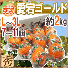”愛媛県 愛宕ゴールド” 秀品 L～3L 7～11玉 約2kg 愛宕柿【予約 12月中下旬以降】 送料無料
