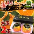 長崎 マルナン ”匠の味 葉付きデコポン” 秀品 大玉2玉 専用化粧箱【予約 12月以降】 送料無料