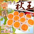 福岡県 ”博多秋王” 秀品 2L～5L 8～12玉前後 約3.5kg 秋王柿【予約 11月以降】 送料無料