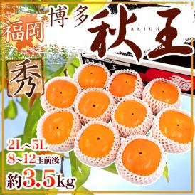 福岡県 ”博多秋王” 秀品 2L～5L 8～12玉前後 約3.5kg 秋王柿【予約 11月以降】 送料無料