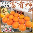 ”奈良県西吉野産 富有柿” 秀品 2L～3L 約3.3kg【予約 11月以降】 送料無料