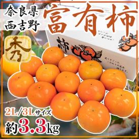 ”奈良県西吉野産 富有柿” 秀品 2L～3L 約3.3kg【予約 11月以降】 送料無料