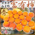 ”奈良県西吉野産 富有柿” 秀品 2L～3L 約5kg【予約 11月以降】 送料無料