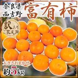 ”奈良県西吉野産 富有柿” 訳あり 大きさおまかせ 約5kg【予約 11月以降】 送料無料