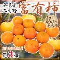 ”奈良県西吉野産 富有柿” 訳あり 大きさおまかせ 約3kg【予約 11月以降】 送料無料