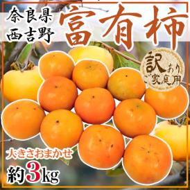 奈良県西吉野産 ”富有柿” 訳あり 大きさおまかせ 約3kg【予約 11月以降】 送料無料