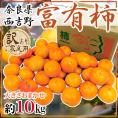 奈良県西吉野産 ”富有柿” 訳あり 大きさおまかせ 約10kg【予約 11月以降】 送料無料