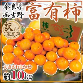 奈良県西吉野産 ”富有柿” 訳あり 大きさおまかせ 約10kg【予約 11月以降】 送料無料