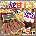 茨城県 旭村 熟成高糖度さつまいも ”旭甘十郎 シルクスイート” S/M/Lサイズ 約5kg サツマイモ【予約 1月末以降】 送料無料