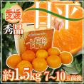愛媛産 ”甘平” 秀品 7～10玉前後 約1.5kg 化粧箱【予約 1月中旬以降】 送料無料