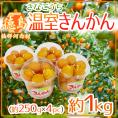 徳島県佐那河内村 ”温室きんかん” 秀品 約250g×《4pc》(合計約1kg) 大きさおまかせ 金柑【予約 1月中旬以降】 送料無料