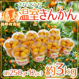 徳島県佐那河内村 ”温室きんかん” 秀品 約250g×《12pc》（合計約3kg） 大きさおまかせ 金柑【予約 1月中旬以降】 送料無料