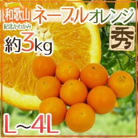 ”和歌山県 紀北かわかみ ネーブルオレンジ” 秀品 L～4Lサイズ 約3kg【予約 1月下旬以降】 送料無料