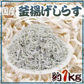 国産 ”釜揚げしらす” 約1kg ちりめんじゃこ 送料無料