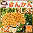 宮崎・鹿児島県 ”きんかん” 秀品 2L～3L 約2kg 金柑【予約 12月以降】 送料無料