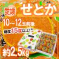 愛媛産 ”せとか” 秀品 10～12玉前後 約2.5kg 化粧箱 最低糖度15度以上【予約 2月末以降】 送料無料