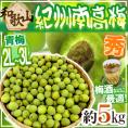 ”紀州・和歌山産 南高梅 青梅” 秀品 2L~3L 約5kg【予約 5月中旬以降】 送料無料
