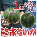 熊本県 ”熊本すいか” 訳あり 約3kg以上 1玉【予約 4月以降】 送料無料