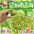 ”紀州・和歌山産 南高梅 青梅” 4L 約3kg ちょっと訳あり【予約 5月中旬以降】 送料無料