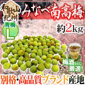 紀州・和歌山産 ”みなべ南高梅 青梅” L 約2kg【予約 5月中旬以降】 送料無料