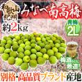 ”紀州・和歌山産 みなべ南高梅 青梅” 2L 約2kg【予約 5月中旬以降】 送料無料
