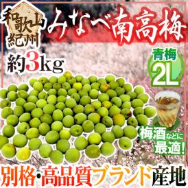 紀州・和歌山産 ”みなべ南高梅 青梅” 2L 約3kg【予約 5月中旬以降】 送料無料