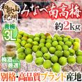 ”紀州・和歌山産 みなべ南高梅 青梅” 3L 約2kg【予約 5月中旬以降】 送料無料
