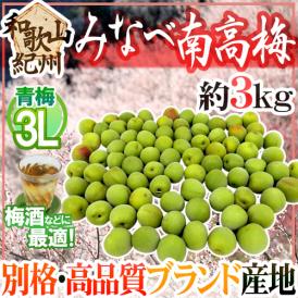 紀州・和歌山産 ”みなべ南高梅 青梅” 3L 約3kg【予約 5月中旬以降】 送料無料