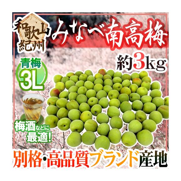 紀州南高梅 青梅 最高級品 2L・3L 3kg 送料込み - メルカリ