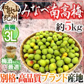 紀州・和歌山産 ”みなべ南高梅 青梅” 3L 約5kg【予約 5月中旬以降】 送料無料