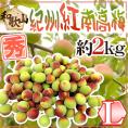 ”紀州・和歌山産 紅南高梅” 秀品 L 約2kg【予約 5月下旬以降】 送料無料