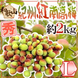 紀州・和歌山産 ”紅南高梅” 秀品 L 約2kg【予約 5月下旬以降】 送料無料