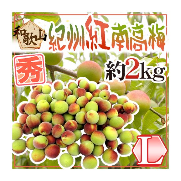 紀州・和歌山産 紅南高梅” 秀品 L 約2kg【予約 5月下旬以降