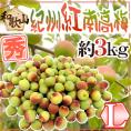 ”紀州・和歌山産 紅南高梅” 秀品 L 約3kg【予約 5月下旬以降】 送料無料