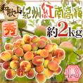 ”紀州・和歌山産 紅南高梅” 秀品 2L~3L 約2kg【予約 5月下旬以降】 送料無料