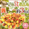”紀州・和歌山産 紅南高梅” 秀品 2L~3L 約3kg【予約 5月下旬以降】 送料無料