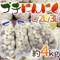 【送料無料】”プチにんにく” L/2L/3L 約4kg