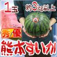 熊本県 ”熊本すいか” 秀/優品 約3kg以上 1玉【予約 4月以降】 送料無料
