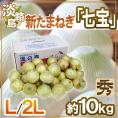 ”兵庫県 淡路島産 新たまねぎ 七宝” 秀品 L/2L 約10kg【予約 5月中旬以降】 送料無料