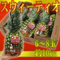 完熟！黄金パイン！ ”DOLEスウィーティオパイナップル” 6〜8玉入り 約10kg【予約 入荷次第発送】 送料無料