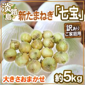 兵庫県 淡路島産 ”新たまねぎ 七宝” 訳あり 約5kg 大きさおまかせ【予約 5月中旬以降】 送料無料