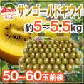 ゼスプリ ”サンゴールドキウイ” 50～60玉前後 約5〜5.5kg【予約 4月下旬以降】 送料無料