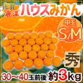 佐賀産 JAからつ ”ハウスみかん” S/Mサイズ 30～40玉前後 約3kg バラ詰め 温室みかん【予約 6月以降】 送料無料