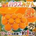 ”佐賀産 JAからつ ハウスみかん” S/Mサイズ 10～12玉前後 約1kg バラ詰め 温室みかん【予約 6月以降】 送料無料